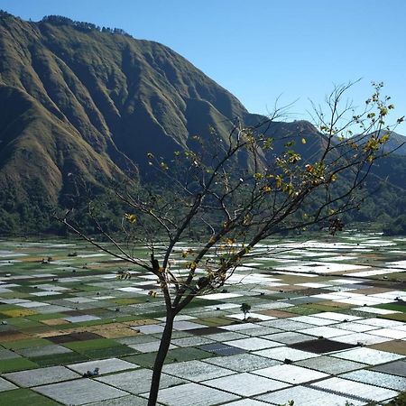 Rinjani Green Park Syariah Hotel سيمبالون لوانج المظهر الخارجي الصورة